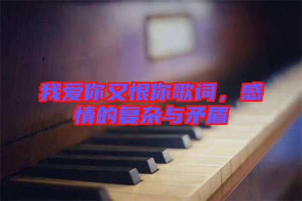 我愛(ài)你又恨你歌詞，感情的復(fù)雜與矛盾