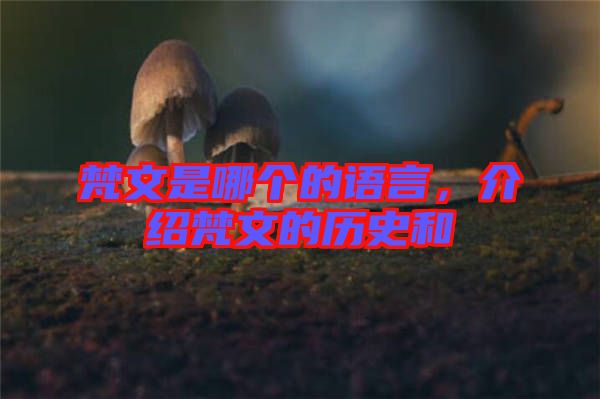 梵文是哪個(gè)的語言，介紹梵文的歷史和
