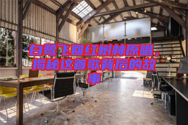 白鷺飛回紅樹林原唱，揭秘這首歌背后的故事