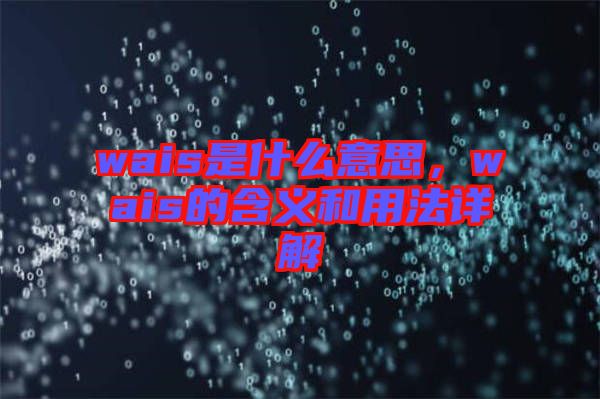 wais是什么意思，wais的含義和用法詳解