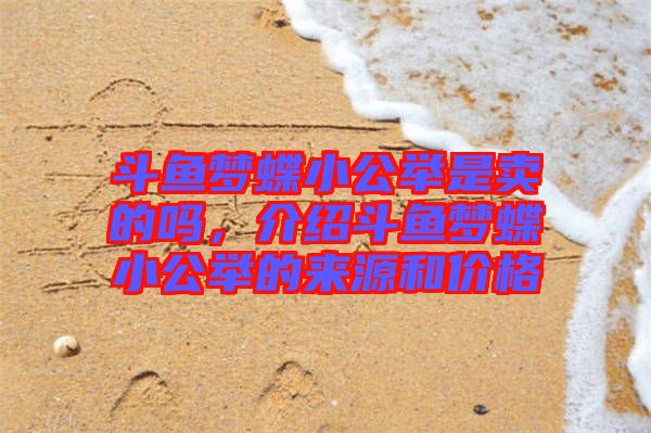 斗魚夢(mèng)蝶小公舉是賣的嗎，介紹斗魚夢(mèng)蝶小公舉的來(lái)源和價(jià)格