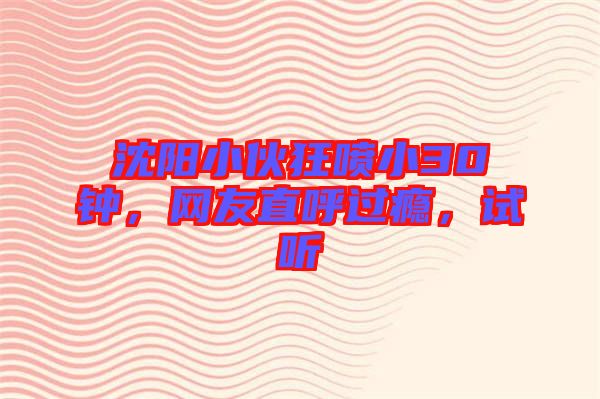 沈陽小伙狂噴小30鐘，網(wǎng)友直呼過癮，試聽