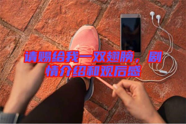 請賜給我一雙翅膀，劇情介紹和觀后感