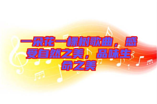 一朵花一棵樹(shù)歌曲，感受自然之美，品味生命之美