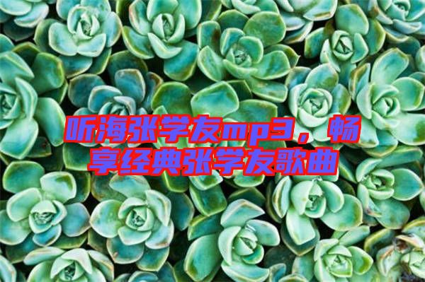 聽海張學友mp3，暢享經(jīng)典張學友歌曲