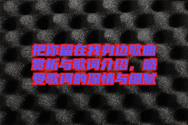 把你留在我身邊歌曲賞析與歌詞介紹，感受歌詞的深情與細(xì)膩