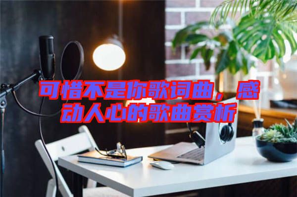 可惜不是你歌詞曲，感動(dòng)人心的歌曲賞析
