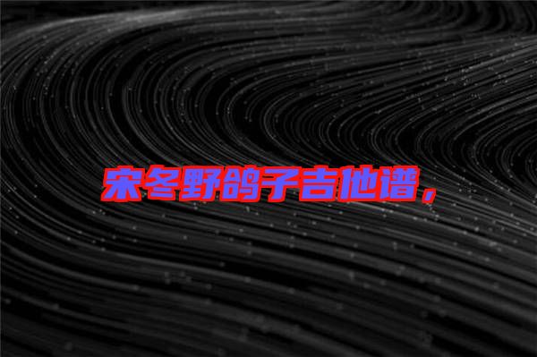 宋冬野鴿子吉他譜，