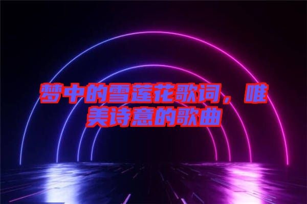 夢(mèng)中的雪蓮花歌詞，唯美詩(shī)意的歌曲