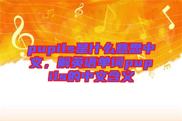 pupils是什么意思中文，解英語(yǔ)單詞pupils的中文含義