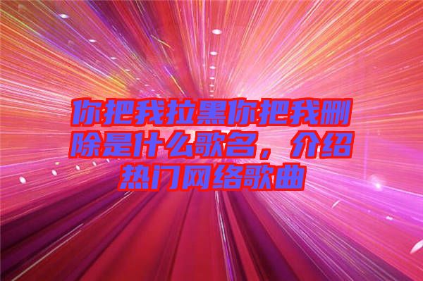 你把我拉黑你把我刪除是什么歌名，介紹熱門(mén)網(wǎng)絡(luò)歌曲