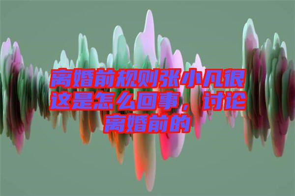 離婚前規(guī)則張小凡很這是怎么回事，討論離婚前的