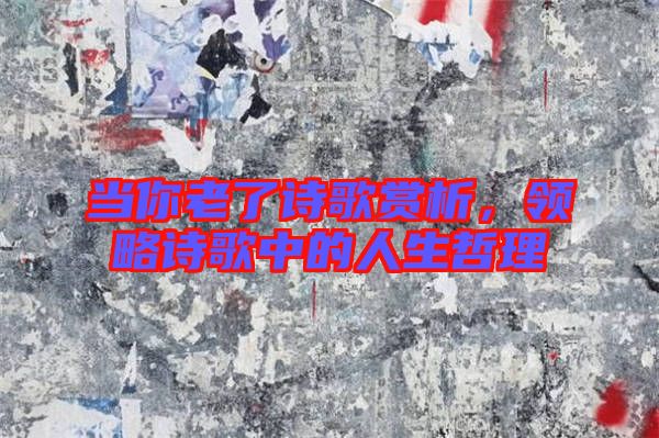 當(dāng)你老了詩歌賞析，領(lǐng)略詩歌中的人生哲理