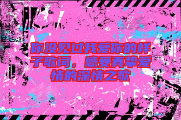 你沒見過我愛你的樣子歌詞，感受真摯愛情的深情之歌