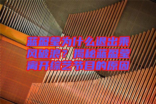 藍(lán)盈瑩為什么退出乘風(fēng)破浪？揭秘藍(lán)盈瑩離開綜藝節(jié)目的原因