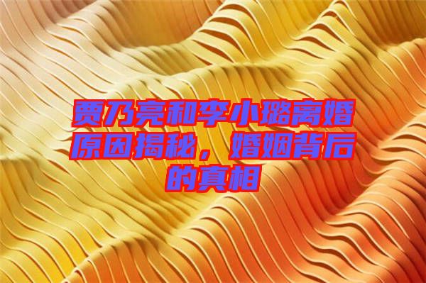 賈乃亮和李小璐離婚原因揭秘，婚姻背后的真相