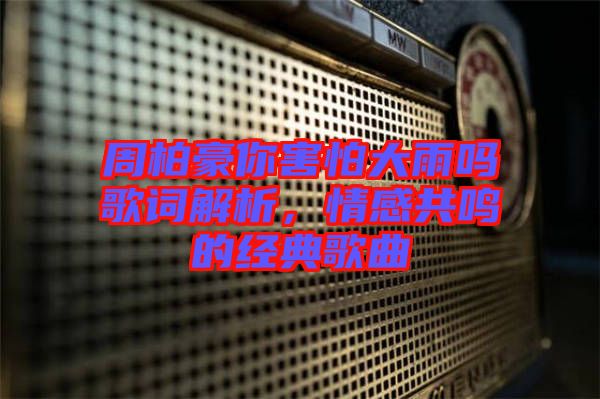 周柏豪你害怕大雨嗎歌詞解析，情感共鳴的經(jīng)典歌曲