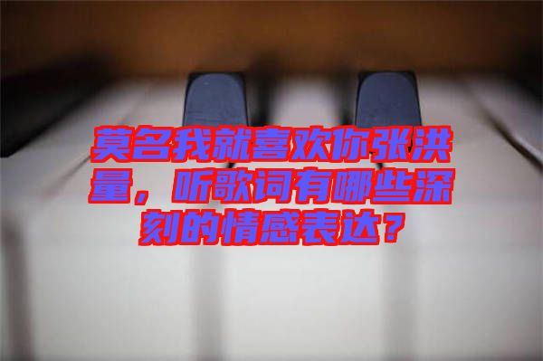 莫名我就喜歡你張洪量，聽歌詞有哪些深刻的情感表達(dá)？