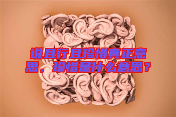 說且行且珍惜真正意思，珍惜是什么意思？