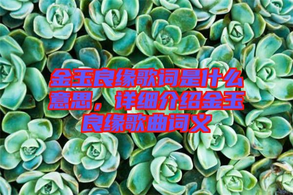 金玉良緣歌詞是什么意思，詳細(xì)介紹金玉良緣歌曲詞義