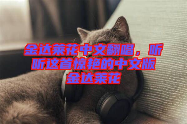 金達(dá)萊花中文翻唱，聽聽這首驚艷的中文版金達(dá)萊花