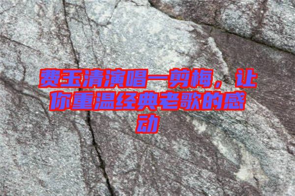 費玉清演唱一剪梅，讓你重溫經(jīng)典老歌的感動