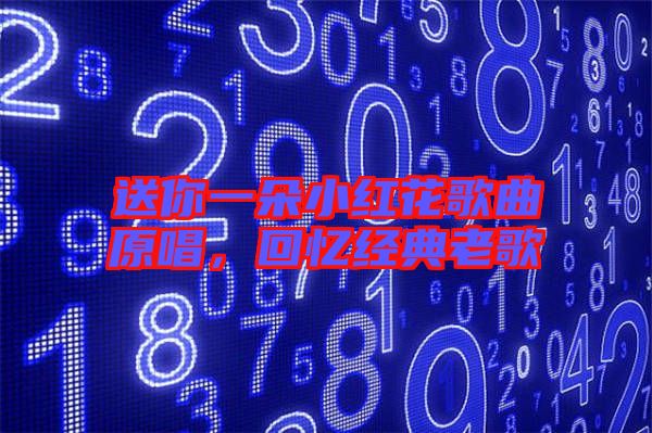 送你一朵小紅花歌曲原唱，回憶經(jīng)典老歌