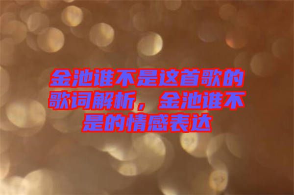 金池誰不是這首歌的歌詞解析，金池誰不是的情感表達