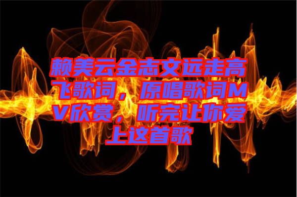 賴美云金志文遠(yuǎn)走高飛歌詞，原唱歌詞MV欣賞，聽完讓你愛上這首歌