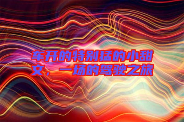 車開的特別猛的小甜文，一場的駕駛之旅