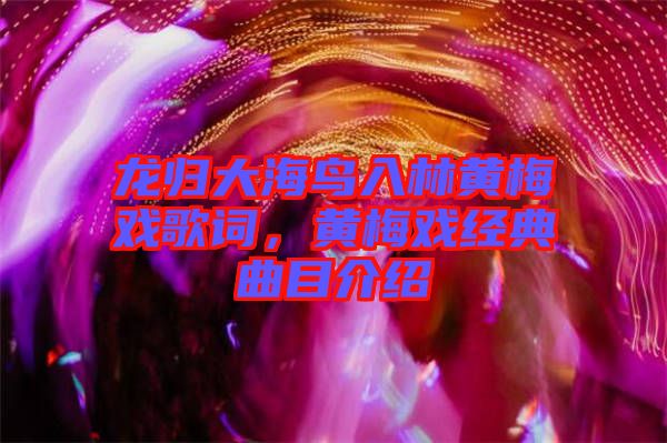 龍歸大海鳥入林黃梅戲歌詞，黃梅戲經(jīng)典曲目介紹