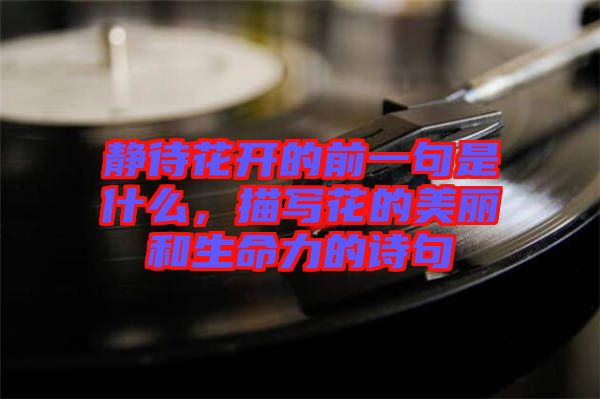 靜待花開(kāi)的前一句是什么，描寫(xiě)花的美麗和生命力的詩(shī)句