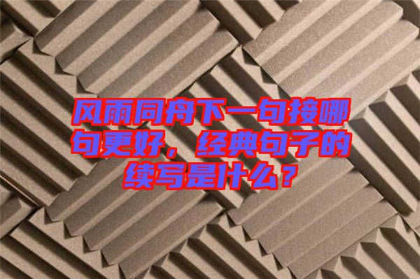 風雨同舟下一句接哪句更好，經(jīng)典句子的續(xù)寫是什么？