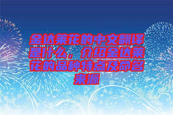 金達(dá)萊花的中文翻譯是什么，介紹金達(dá)萊花的品種特點(diǎn)及命名來源