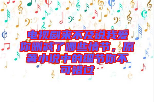 電視劇來(lái)不及說(shuō)我愛(ài)你刪減了哪些情節(jié)，原著小說(shuō)中的細(xì)節(jié)你不可錯(cuò)過(guò)