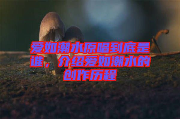 愛如潮水原唱到底是誰，介紹愛如潮水的創(chuàng)作歷程