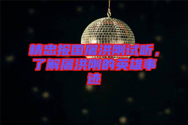 精忠報國屠洪剛試聽，了解屠洪剛的英雄事跡