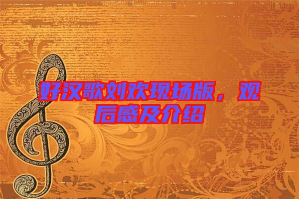 好漢歌劉歡現(xiàn)場版，觀后感及介紹