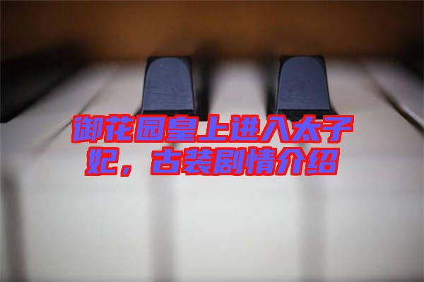 御花園皇上進(jìn)入太子妃，古裝劇情介紹