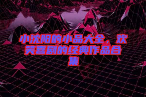 小沈陽(yáng)的小品大全，歡笑喜劇的經(jīng)典作品合集