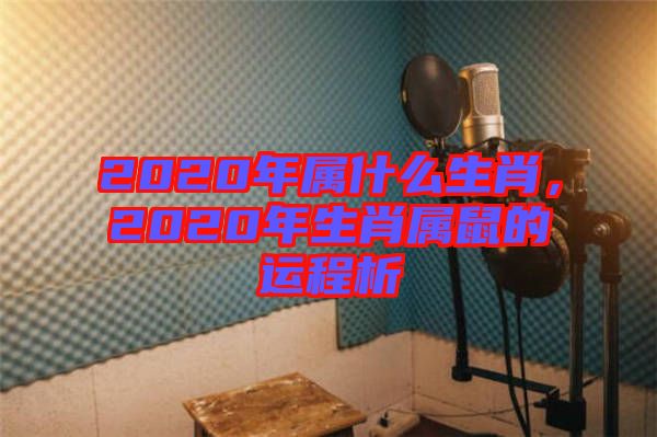 2020年屬什么生肖，2020年生肖屬鼠的運程析