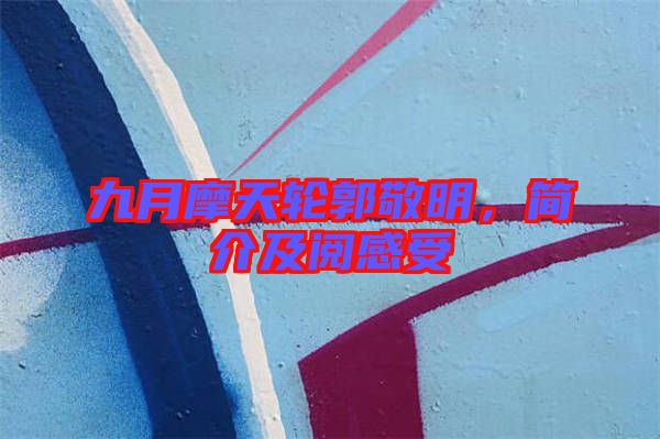 九月摩天輪郭敬明，簡介及閱感受