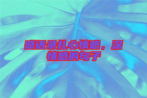 感語(yǔ)錄扎心情感，深情感的句子