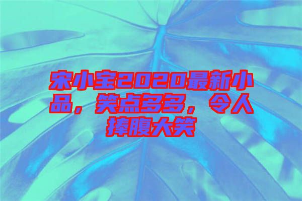 宋小寶2020最新小品，笑點多多，令人捧腹大笑