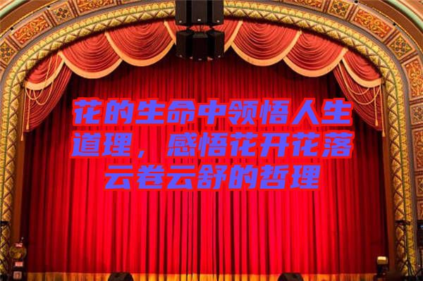 花的生命中領(lǐng)悟人生道理，感悟花開(kāi)花落云卷云舒的哲理