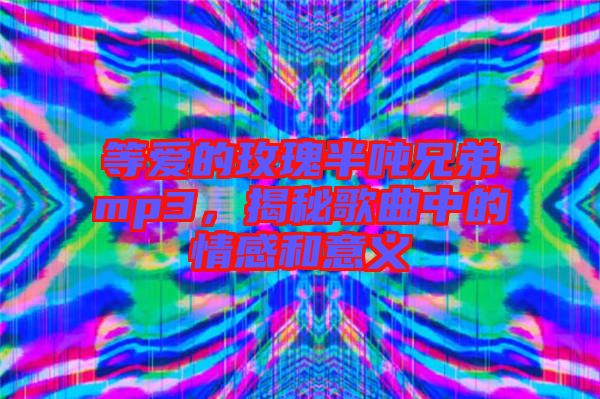等愛的玫瑰半噸兄弟mp3，揭秘歌曲中的情感和意義