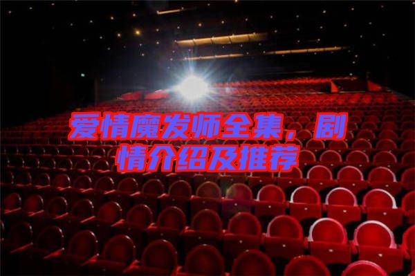 愛情魔發(fā)師全集，劇情介紹及推薦