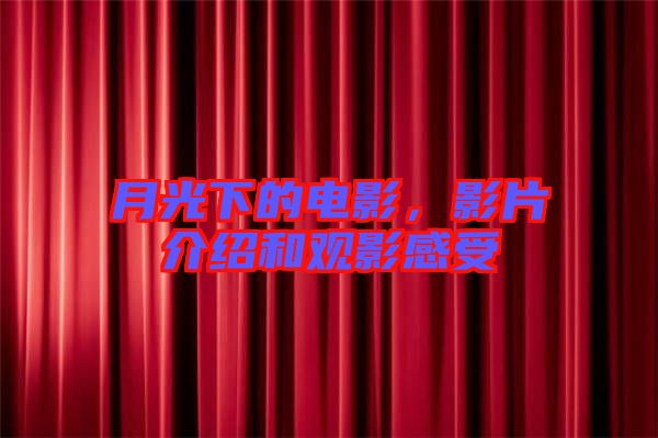 月光下的電影，影片介紹和觀(guān)影感受