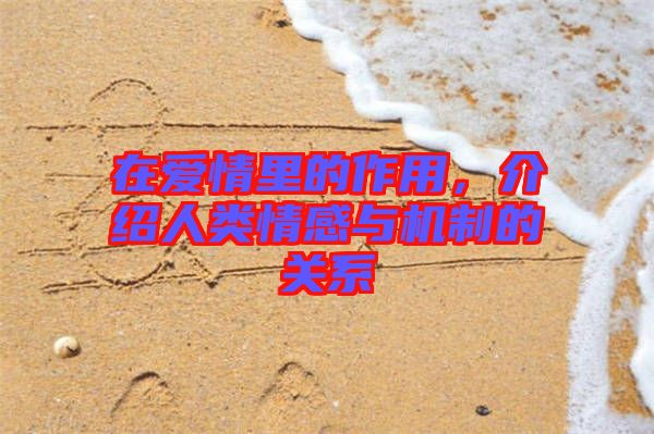 在愛情里的作用，介紹人類情感與機(jī)制的關(guān)系