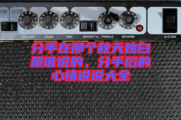 分手在那個秋天獨(dú)白是誰說的，分手后的心情說說大全